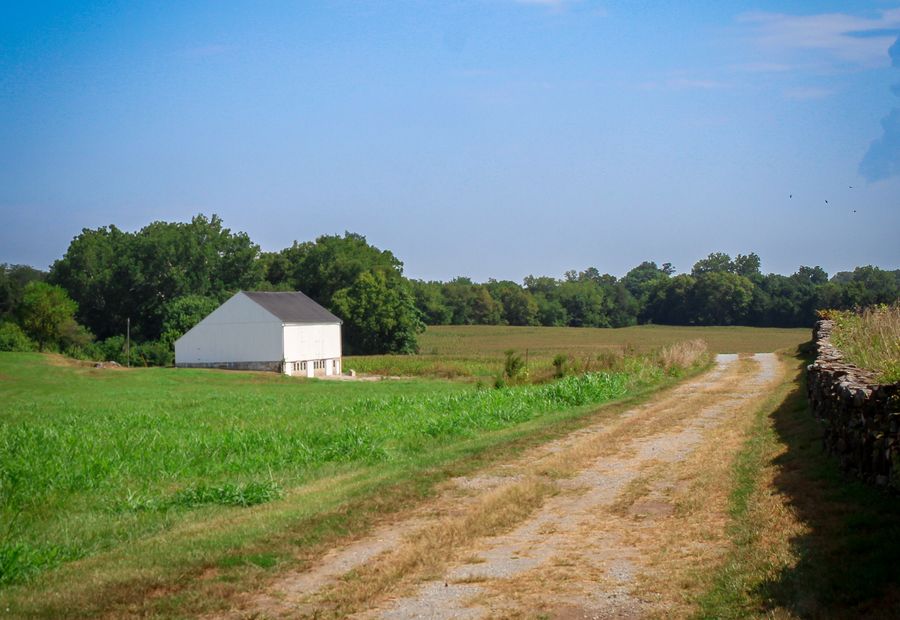 Farm lane running past a white barn into an open field